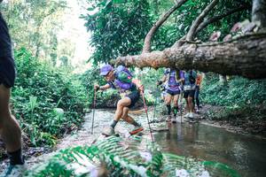 BIB: 
                            <button type="button" onclick="openModal(25444320)" class="btn btn-primary btn-sm float-right btn-popup" data-toggle="modal" data-target=".modal-high-quality">
                        <i class="fas fa-shopping-cart"></i> Add to Cart
                    </button>
                                            <button type="button" onclick="isThisMe(25444320, true)" class="btn btn-success btn-sm float-right btn-popup btn-isme hidden" data-toggle="tooltip" data-placement="bottom" title="นี่คือรูปของคุณใช่ไหม คลิกที่นี่เพื่อเอาเข้าอัลบั้ม">
                        <i class="fas fa-plus"></i> Add to album
                    </button>
                    <button type="button" onclick="isThisMe(25444320, false)" class="btn btn-warning btn-sm float-right btn-popup btn-isnotme hidden">
                        <i class="fas fa-ban"></i> Remove from album
                    </button>